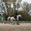 bABIE lATO 2018